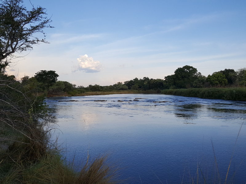 I PARCHI DEL BOTSWANA IN VOLO — 6